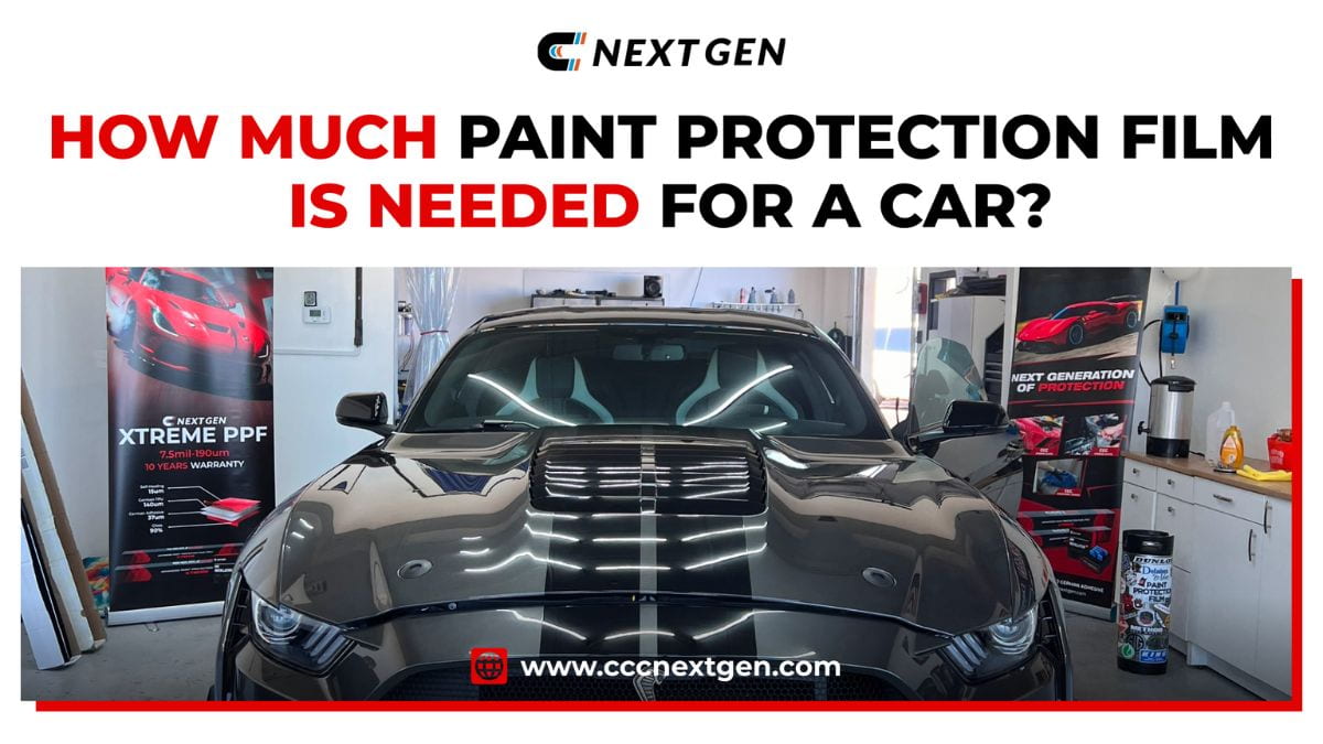 how much paint protection film is needed for a car